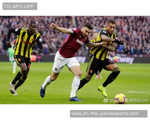 流浪者与希伯尼安对决前瞻分析及比赛结果预测